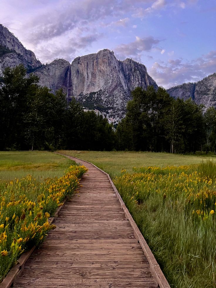 Yosemite National Park